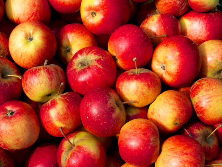 Rote Äpfel